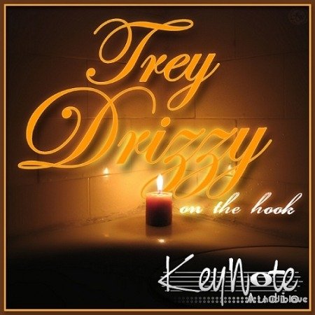 KeyNote Audio Trey Drizzy On The Hook