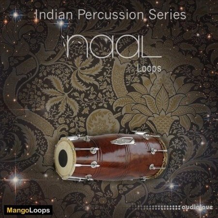 Mango Loops Indian Percussion Series Naal