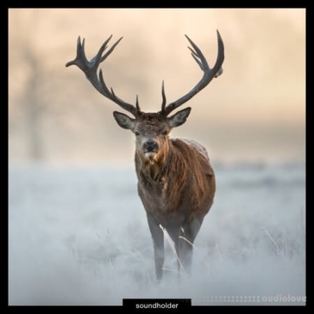 Soundholder Roaring Stags