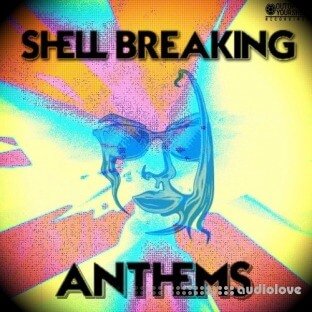 Out Of Your Shell Sounds Shell Breaking Anthems