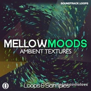 Soundtrack Loops Mellow Moods Ambient Textures