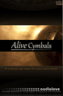 Sampleism Nicolas Signat Alive Cymbals