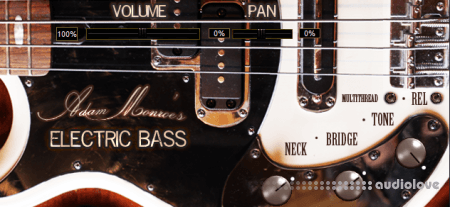 Adam Monroe Music Electric Bass