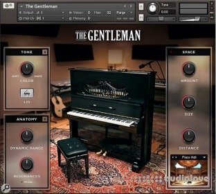 Native Instruments The Gentleman