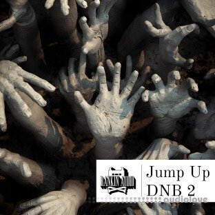 Rankin Audio Jump Up DnB 2