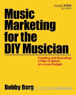 Music Marketing for the DIY Musician: Creating and Executing a Plan of Attack on a Low Budget (Music Pro Guides)