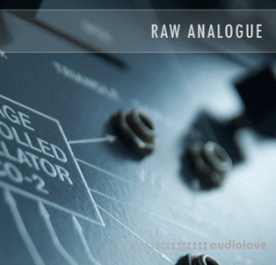 SoundsDivine Raw Analogue Series