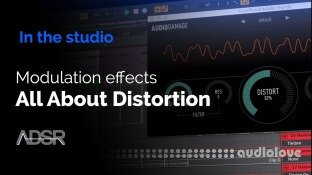 ADSR Sounds Modulation Effects All about Distortion, from subtle to extreme Phasers