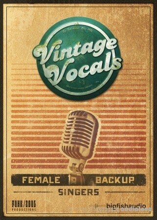 Big Fish Audio Vintage Vocals