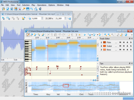 WIDI Recognition System Professional