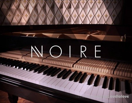 Native Instruments Noire