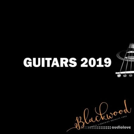 Blackwood Samples Guitars 2019