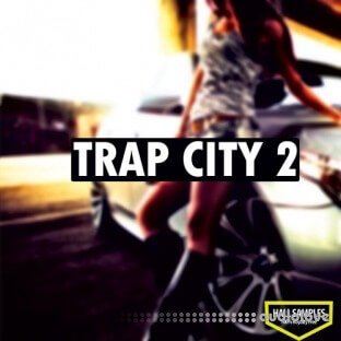 Hall Samples Trap City Vol.2