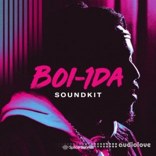 Splice Sounds Boi-1da Soundkit Bare Sounds for Your Headtop