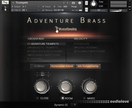 Musical Sampling Adventure Brass