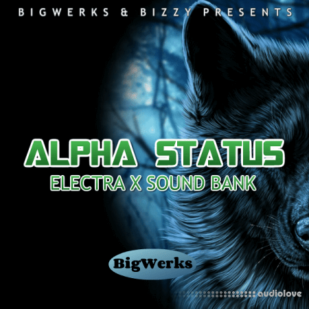 BigWerks Alpha Status