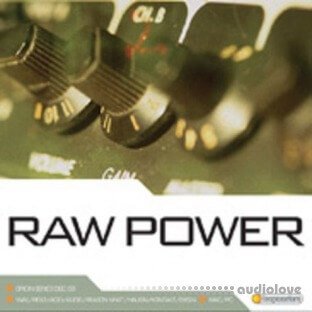 Loopmasters Raw Power