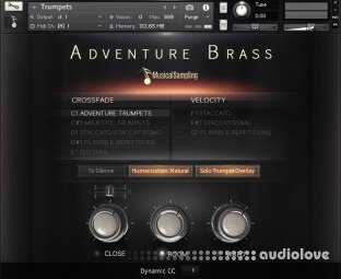 Musical Sampling Adventure Brass