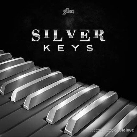 2DEEP Silver Keys Construction Kit