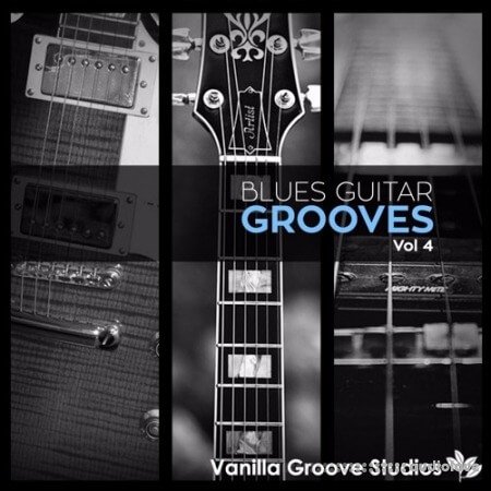 Vanilla Groove Studios Blues Guitar Grooves Vol.4