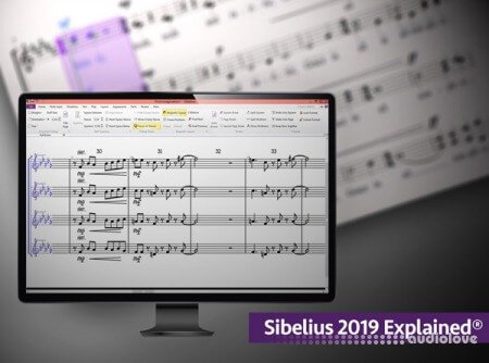 Groove3 Sibelius 2019 Explained