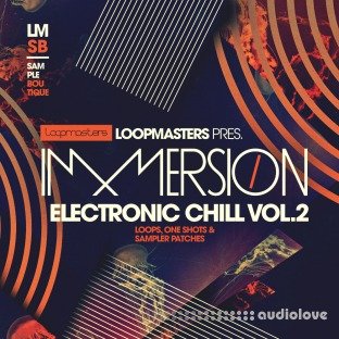 Loopmasters Immersion Electronic Chill 2