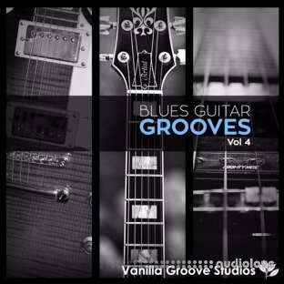 Vanilla Groove Studios Blues Guitar Grooves Vol.4