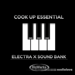 BigWerks Cook Up Essentials