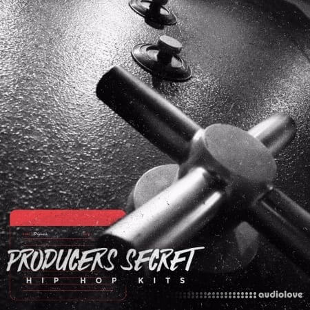 Diginoiz Producers Secret Hip Hop Drums