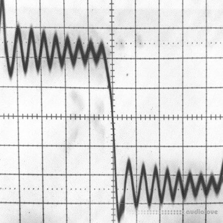 Riemann Kollektion Riemann Analog Distorted Kickdrum Loops 4