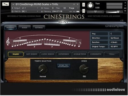 CineSamples CineStrings Runs