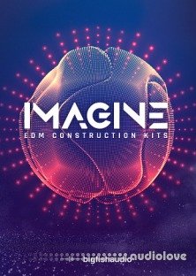 Big Fish Audio IMAGINE: EDM Construction Kits