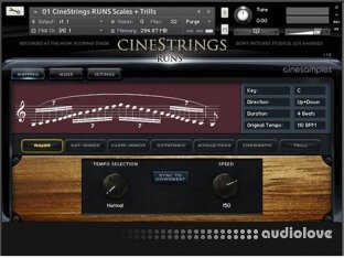 CineSamples CineStrings Runs