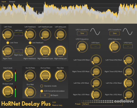 HoRNet DeeLay Plus