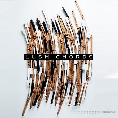 RawNois3 Lush Chords Sample Collection with Stems