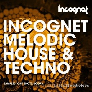 Incognet Melodic House and Techno