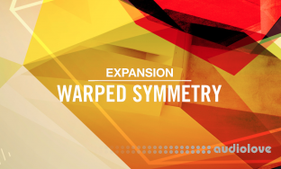 Native Instruments Warped Symmetry Expansion