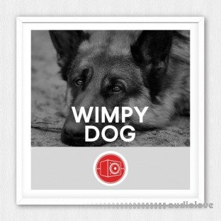 Big Room Sound Wimpy Dog