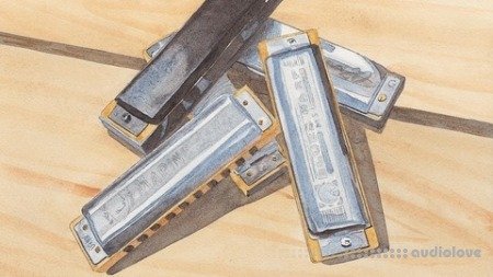 Udemy Harmonica Beginners: 17 Hacks and Tips Kickstart Your Skills