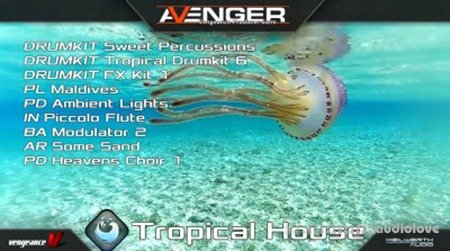 Vengeance Sound Avenger Expansion pack Tropical House