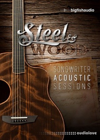 Big Fish Audio Steel and Wood Songwriter Acoustic Sessions