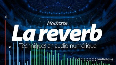 Elephorm Maitrisez La Reverb