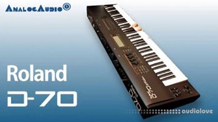 Nicebeats Synthline #3126 Roland D-70