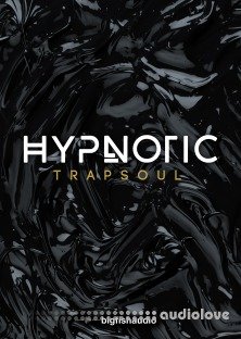 Big Fish Audio Hypnotic Trapsoul