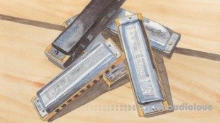 Udemy Harmonica Beginners: 17 Hacks and Tips Kickstart Your Skills