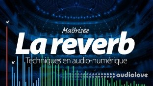 Elephorm Maitrisez La Reverb