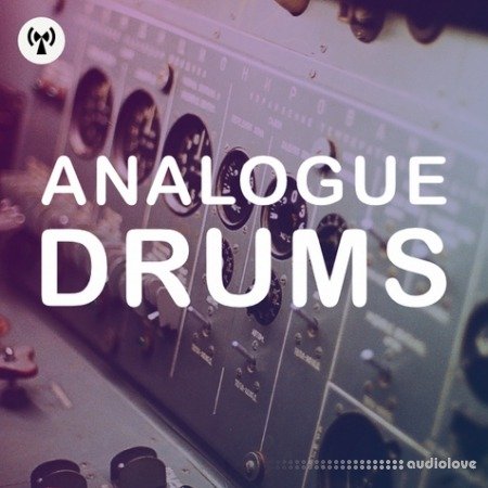 Noiiz Analogue Drums