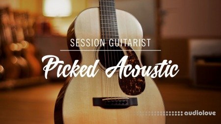 Native Instruments Session Guitarist Picked Acoustic