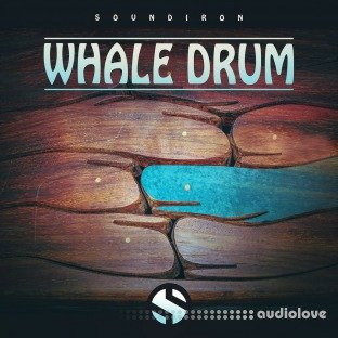 Soundiron Whale Drum