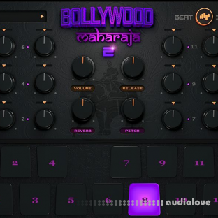 BeatSkillz Bollywood Maharaja